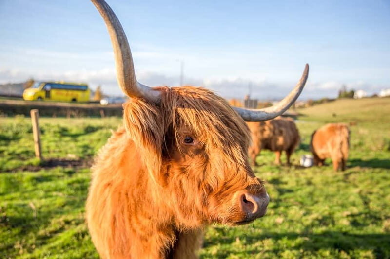 From Edinburgh: Isle of Skye & Highlands 3-Day Guided Tour - Culloden Battlefield and Pitlochry: History and a Slower Scottish Moment