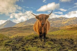 From Edinburgh: Stirling Castle, Loch Lomond & Whisky Tour - Riverside Museum and the Glasgow stop: good idea, but check the day