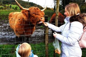 Loch Ness, Glencoe and the Highlands Private Day Tour - The Kelpies, Stirling Castle, and Wallace Views: Quick Stops That Pay Off