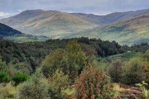 Private Central Highlands Driving Tour - Stirling Castle viewpoint: history with an easy on-ramp