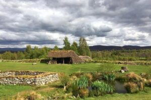 Private - Culloden, Clava Cairns Day Tour from Edinburgh - Clava Cairns: short, guided, and very photo-friendly