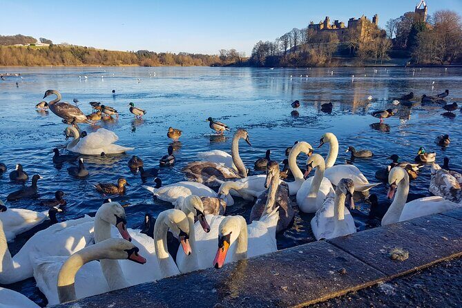 Private Luxury Tour of Loch Lomond, Glencoe & The Highlands - Callander, then Doune Castle: the bridge from Highlands back to history