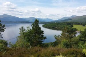 Stirling Castle and Whisky Very Small Group Tour from Edinburgh - Linlithgow Royal Palace Ruins: A Quick Taste of Another Story Before Stirling